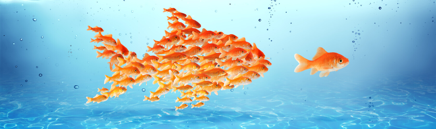 Ontdek je volledige potentieel